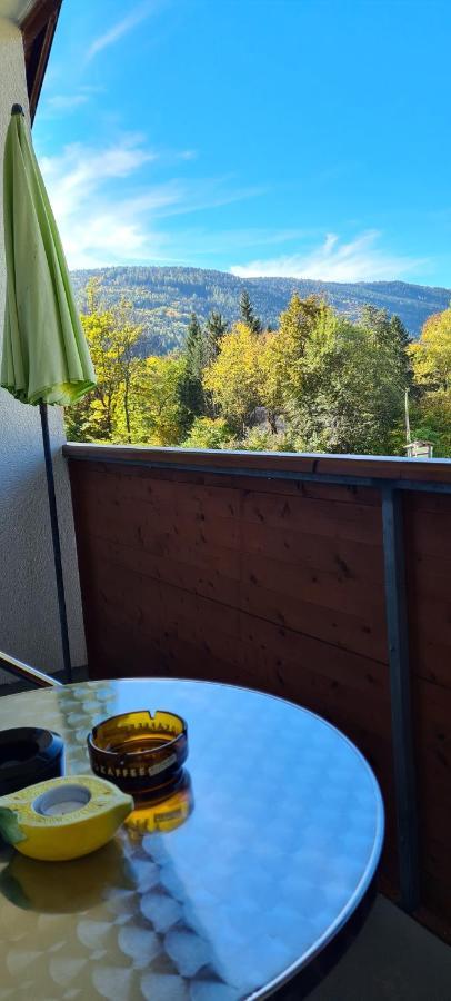 Ferienwohnung Edeltraud, Fusslaeufig Zum See Und 20 Minuten Vom Skigebiet Entfernt Dobriach Exterior photo